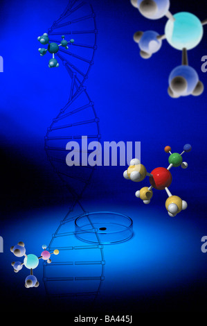Molekulare Strukturen und DNA-Struktur Stockfoto