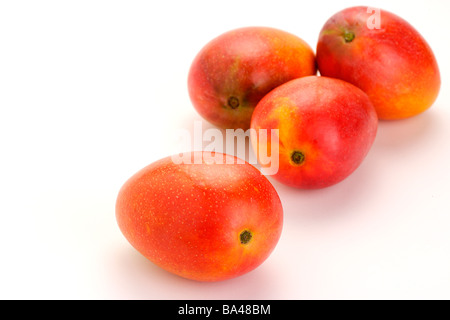 Vier Mangos Stockfoto