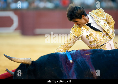 Die spanischen Torero Cesar Giron Real Maestranza Stierkampfarena Sevilla autonomen Gemeinschaft Andalusien Südspanien Stockfoto