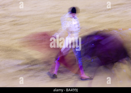 Stierkampf-Aktion bei slow-Shutter Speed Real Maestranza Stierkampfarena, Sevilla Stockfoto