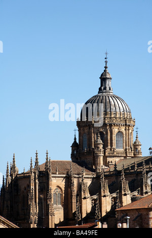 Neue Kathedrale von Salamanca autonomen Gemeinschaft Kastilien und Leon Spain dome Stockfoto