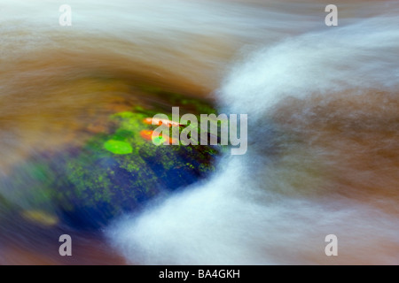 Watersmeet in Exmoor Nationalpark Devon England Stockfoto