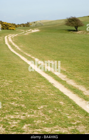 Der South Downs Way Wanderweg in Südengland. Stockfoto