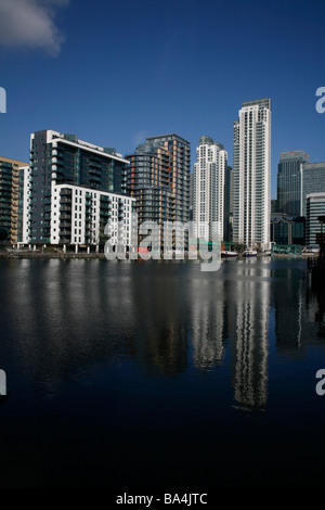 Wohnblocks am inneren Millwall Dock, Isle of Dogs, London Docklands Stockfoto