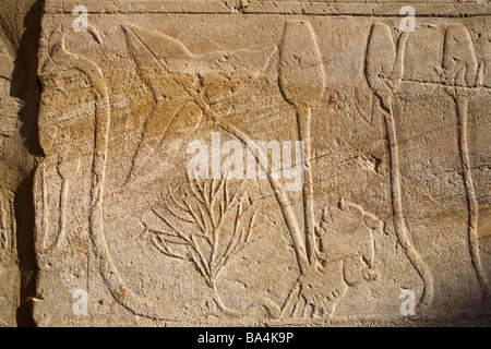Reliefs an den Wänden des Botanischen Gartens des Festspielhauses, Akh-Toulon von Thutmose in Karnak Tempel Luxor Ägypten Stockfoto