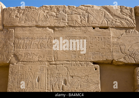 Ausschnitt aus der Ashkelon Wand in Karnak Tempel, Luxor, Ägypten Stockfoto