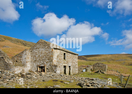 Die Ruinen der Spinner Hall, Upper Swaledale in der Nähe von Keld, Yorkshire Dales National Park, England UK Stockfoto