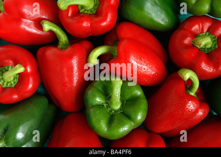 Eine Anzeige der gemischte rote und grüne Capiscum Paprika Stockfoto