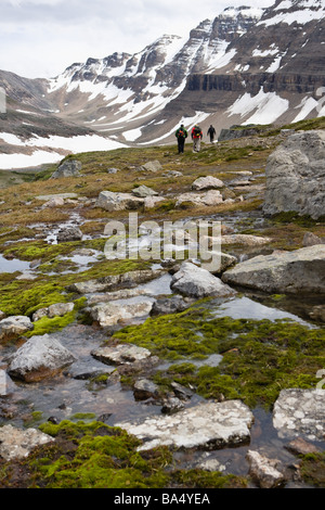 Wanderer zu Fuß im Gebirge, Kanada Stockfoto