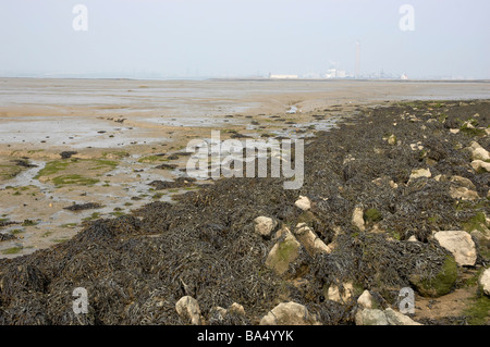 Ebbe an der Mündung des Flusses Medway in Kent England Stockfoto