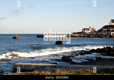 Mit Blick auf als Steinmauer in der Nähe von Findochty auf den Moray Firth in Schottland Stockfoto