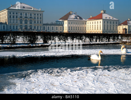 Weiße Schwäne auf Schnee vor der Nymphenburg Palace Munich Bavaria Germany Stockfoto