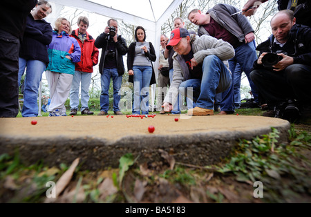 Die Welt Murmeln Meisterschaften in Tinsley Green Crawley, Großbritannien. Bild von Jim Holden. Stockfoto