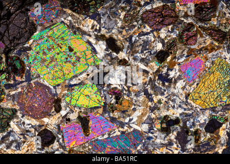 Mineralische Mikroskop Dia Abschnitt des Kentallenite Rock mit Kreuz polarisiertes Licht Beleuchtung Stockfoto
