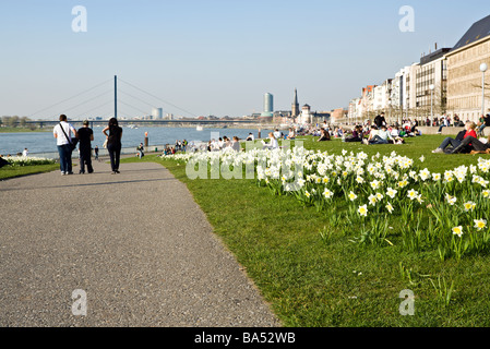 Düsseldorf Rheinpromenade im Frühling Stockfoto