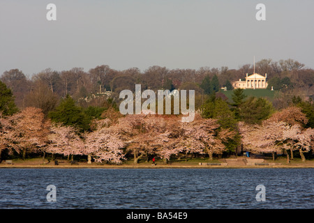 Friedhof von Arlington, Kirschblüten entlang der Gezeitenbecken Custis Lee Mansion auf Hügel.  Washington, D.C. Stockfoto