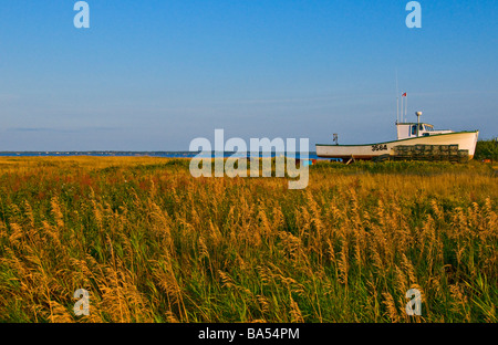 Landschaft Miscou Insel New Brunswick, Kanada Stockfoto