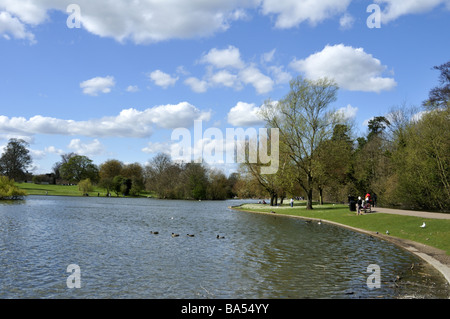 Frühling in Verulamium Park St Albans UK Stockfoto