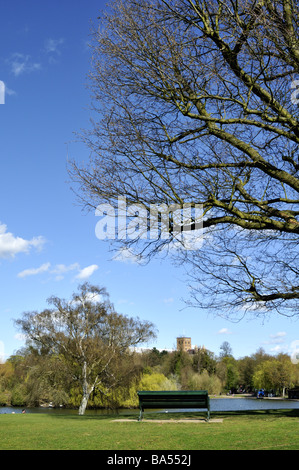 Frühling in Verulamium Park St Albans UK Stockfoto