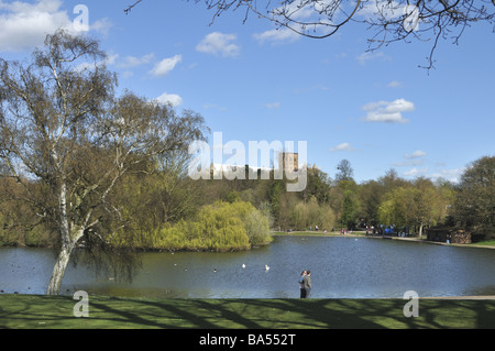 Frühling in Verulamium Park St Albans UK Stockfoto