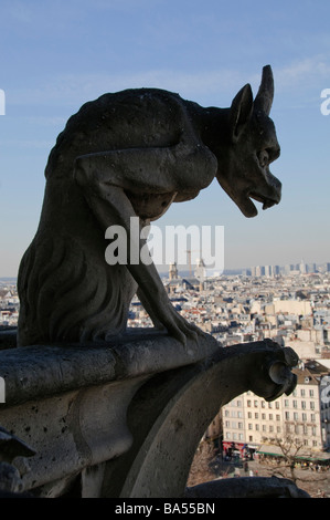 PARIS, Frankreich – Ein Gargoyle an der Kathedrale Notre Dame, hoch oben auf der Fassade mit Blick auf die Stadt. Diese ikonischen Steinskulpturen, die als Wasserspeier entworfen wurden, sind ein unverwechselbares Merkmal der gotischen Architektur der Kathedrale. Sie fügen dem historischen Gebäude ein dekoratives und funktionales Element hinzu. Stockfoto