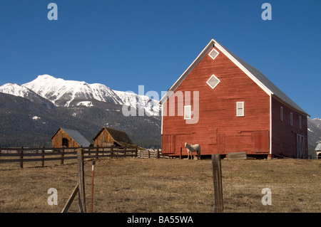 Red Barn in Feld auf Farm oder Ranch am Fuße des Wallowa mountians Stockfoto