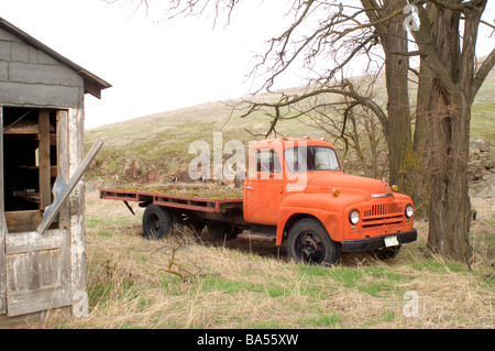 Internationale Erntemaschine LKW auf verlassenen Bauernhof Stockfoto