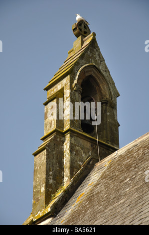 Turm der Kirche St. Thomas, St. Dogmaels Stockfoto