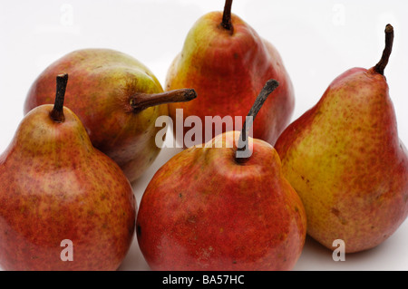 Rote Sensation Bartlett Birnen Stockfoto