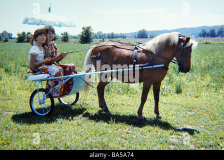 Buggy-Fahrt Stockfoto