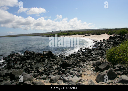 Strand von Punta Suarez, Espanola Insel, Galapagos-Inseln, Ecuador, Südamerika Stockfoto