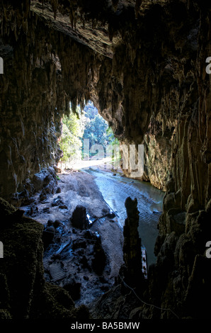 Tham Lod Höhle befindet sich in einem Wald in Pang Mapha Bezirk in Mae Hong Son Thailand Stockfoto