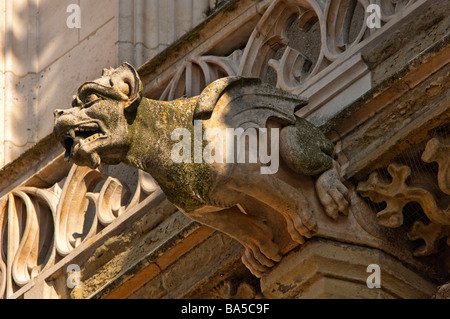 Residence Gargoyle Dom Dom Regensburg gotische Kathedrale St. Peter römisch-katholische Kirche Tier Heiligen Heiligen Figur Paradies Hölle deat Stockfoto