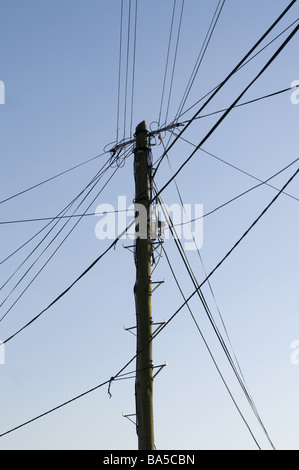 Holzstab mit Telefon und elektrische Leitungen Stockfoto