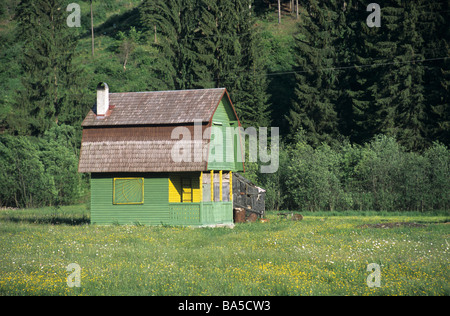 Kleines Haus, grünes Chalet oder Holzhaus in den Karpaten, Siebenbürgen, Rumänien Stockfoto