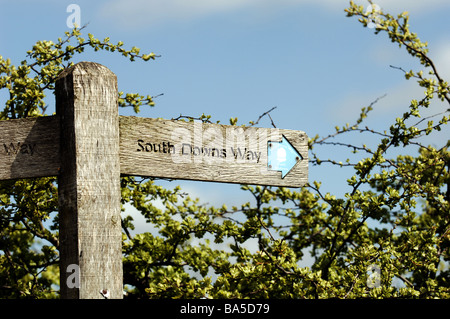 Ein Schild für den South Downs Way am Ditchling Beacon, das jetzt Teil eines britischen Nationalparks ist Stockfoto