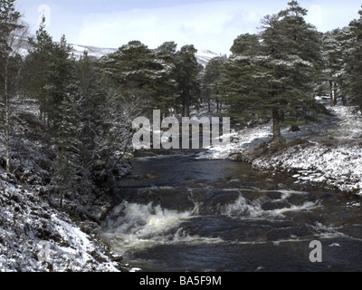 Linn of Dee in der Nähe von Braemar Schottland Stockfoto