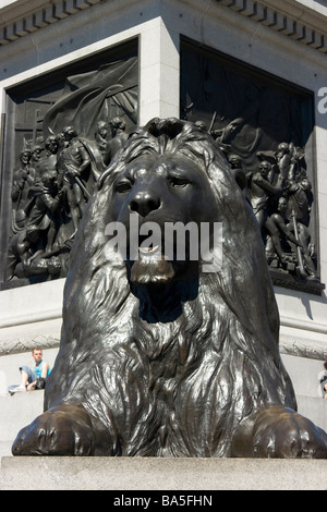 Löwenstatue (eine von vier) von Landseer am Fuße des Nelson Säule, Trafalgar Square, London mit einem männlichen Touristen sitzen auf Sims Stockfoto