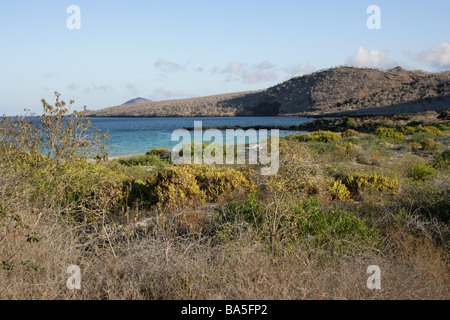 Strand von Punta Cormorant, Floreana Insel, Galapagos-Inseln, Ecuador, Südamerika Stockfoto