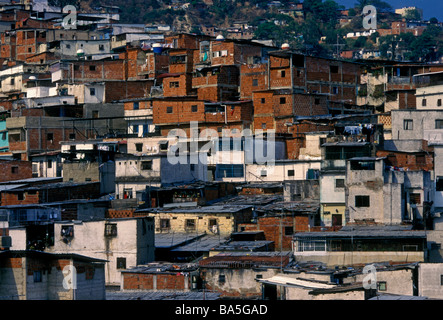 Shantytown, Slum, Zusammen hang gebaut, Barrio Eukalyptus Eukalyptus Barrio, Stadt Caracas, Caracas, Capital District, Venezuela, Südamerika Stockfoto