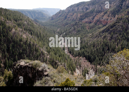 Ansicht des Oak Creek Canyon aus den Anzeigebereich auf Highway 89a innerhalb der Coconino National Forest in der Nähe von Sedona Arizona usa Stockfoto