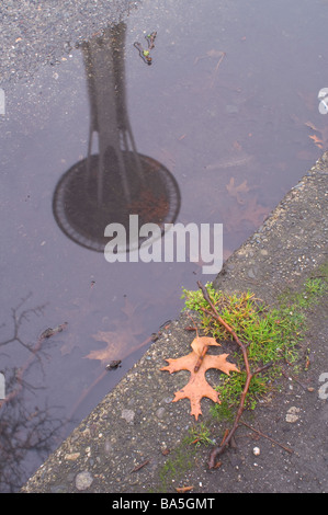 Eine Reflexion von Seattle Space Needle in der Wasser-Vorfahrt Stockfoto