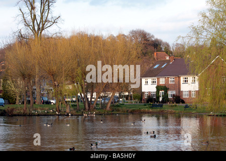 Blick über den Dorfteich west end Esher Surrey kt10 Stockfoto