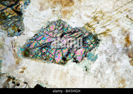Mineralische Mikroskop Dia Abschnitt des Kentallenite Rock mit Kreuz polarisiertes Licht Beleuchtung Stockfoto