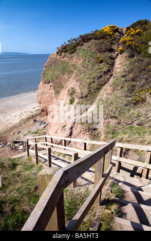 Ton Klippen am Thurstaston Teil des National Trust und hölzernen Stufen an der Küste, Wirral, England, Großbritannien Stockfoto