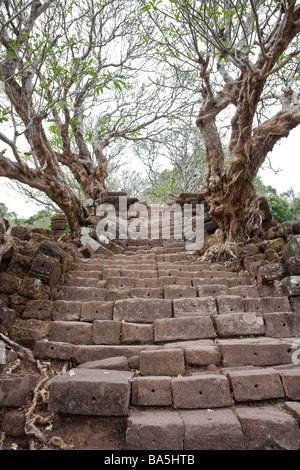 Alten steinernen Stufen aufsteigend, die vor Angkor Ruinen von Wat Phu Champasack, Süden von Laos Stockfoto