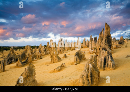 Sonnenuntergang in der Wüste Pinnacles.  Nambung National Park, Cervantes, Western Australia, Australien Stockfoto