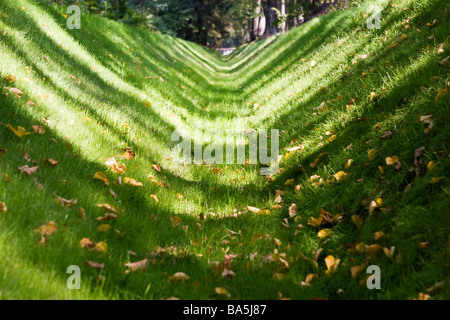 Graben Sie im grünen Rasen im Frühherbst. Stockfoto