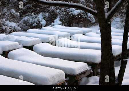 Sonne, Betten mit Schnee bedeckt, während des Winters. Stockfoto