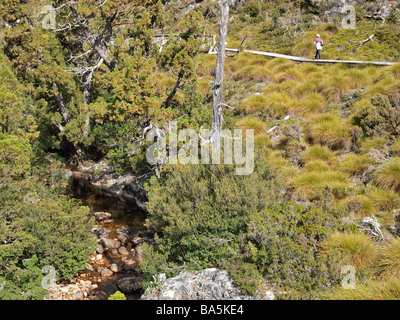 Blick auf Hügel mit Bäumen von Boardwalk Cradle Mountain Valley Teil des Sees die hl. Klara Nationalpark Tasmanien Australien Stockfoto